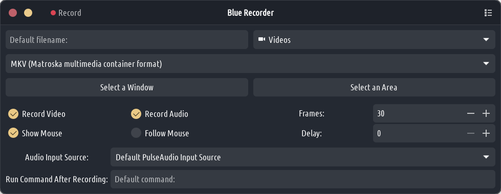 blue recorder